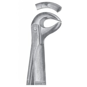 EXTRACTING FORCEPS ENGLISH PATTERN 1137