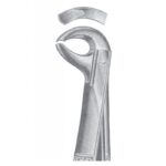 EXTRACTING FORCEPS ENGLISH PATTERN 1138