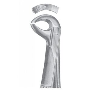 EXTRACTING FORCEPS ENGLISH PATTERN 1138