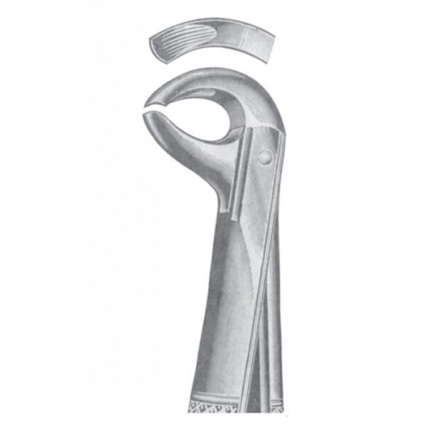 EXTRACTING FORCEPS ENGLISH PATTERN 1138