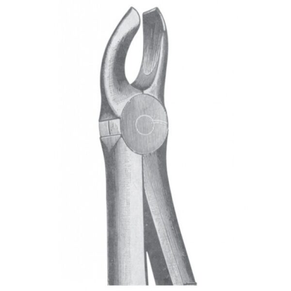 EXTRACTING FORCEPS ENGLISH PATTERN 1140