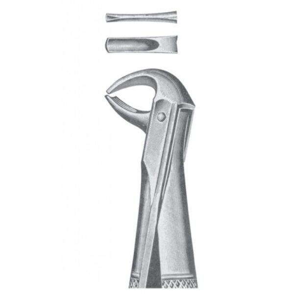 EXTRACTING FORCEPS ENGLISH PATTERN 1143