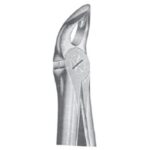 EXTRACTING FORCEPS ENGLISH PATTERN 1144