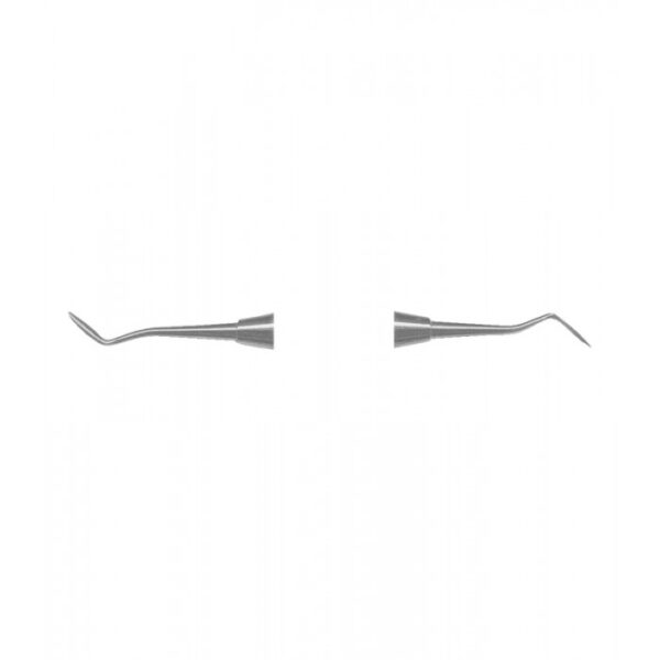 Carvers Carvers 1902