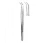 Dental Tweezers 2500
