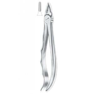 Extracting Forceps "With Fitting Handle" 1159