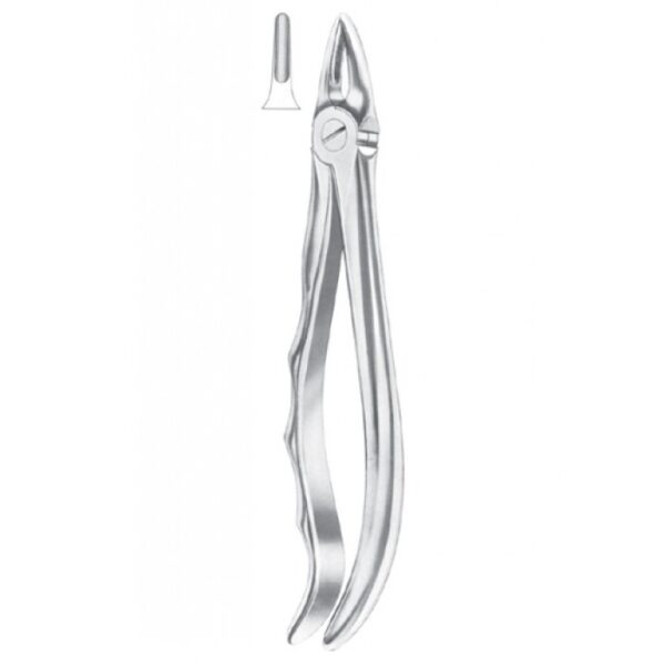 Extracting Forceps "With Fitting Handle" 1159