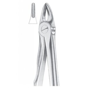 Extracting Forceps "With Fitting Handle" 1160