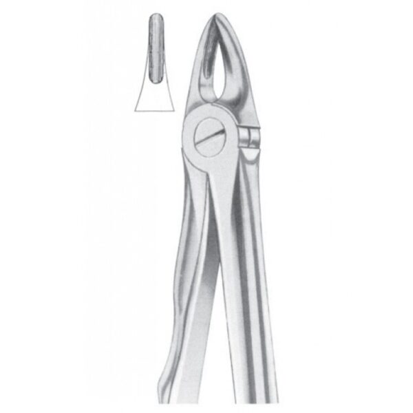 Extracting Forceps "With Fitting Handle" 1160