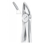 Extracting Forceps "With Fitting Handle" 1161