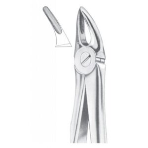Extracting Forceps "With Fitting Handle" 1161