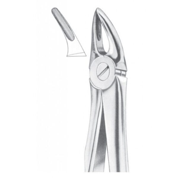 Extracting Forceps "With Fitting Handle" 1161