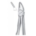 Extracting Forceps "With Fitting Handle" 1162
