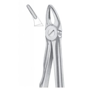 Extracting Forceps "With Fitting Handle" 1162