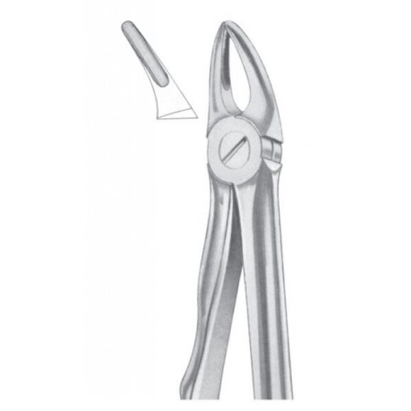 Extracting Forceps "With Fitting Handle" 1162