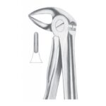 Extracting Forceps "With Fitting Handle" 1163
