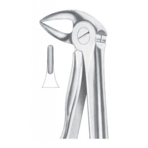 Extracting Forceps "With Fitting Handle" 1163