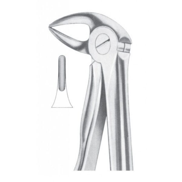 Extracting Forceps "With Fitting Handle" 1163
