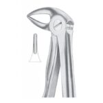 Extracting Forceps "With Fitting Handle" 1164