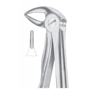 Extracting Forceps "With Fitting Handle" 1164