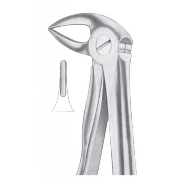Extracting Forceps "With Fitting Handle" 1164