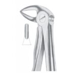 Extracting Forceps "With Fitting Handle" 1165