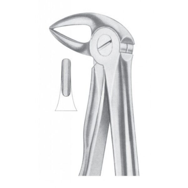 Extracting Forceps "With Fitting Handle" 1165