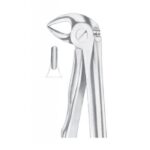 Extracting Forceps "With Fitting Handle" 1167