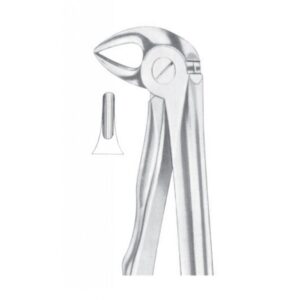 Extracting Forceps "With Fitting Handle" 1167
