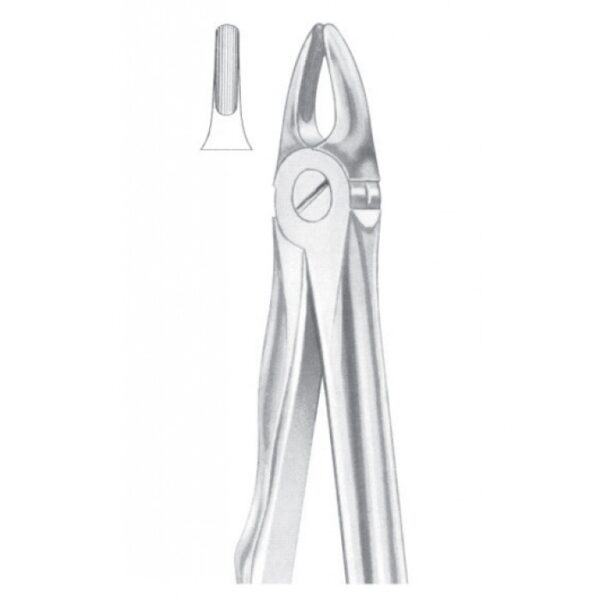 Extracting Forceps "With Fitting Handle" 1168