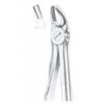 Extracting Forceps "With Fitting Handle" 1169