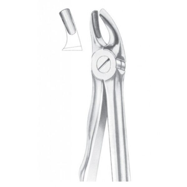 Extracting Forceps "With Fitting Handle" 1169