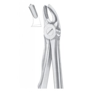 Extracting Forceps "With Fitting Handle" 1171