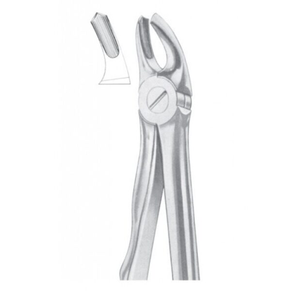 Extracting Forceps "With Fitting Handle" 1171