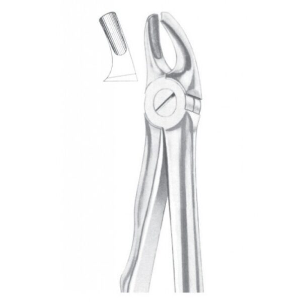 Extracting Forceps "With Fitting Handle" 1172