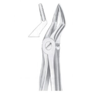 Extracting Forceps "With Fitting Handle" 1179