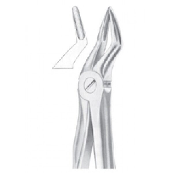 Extracting Forceps "With Fitting Handle" 1179