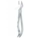 Extracting Forceps "With Fitting Handle" 1180