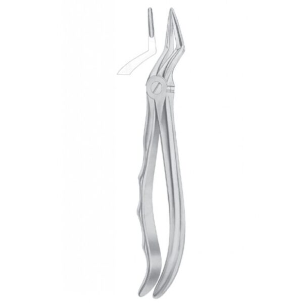 Extracting Forceps "With Fitting Handle" 1180