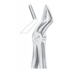 Extracting Forceps "With Fitting Handle" 1181