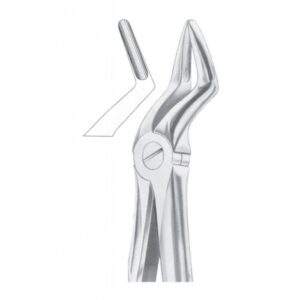 Extracting Forceps "With Fitting Handle" 1181