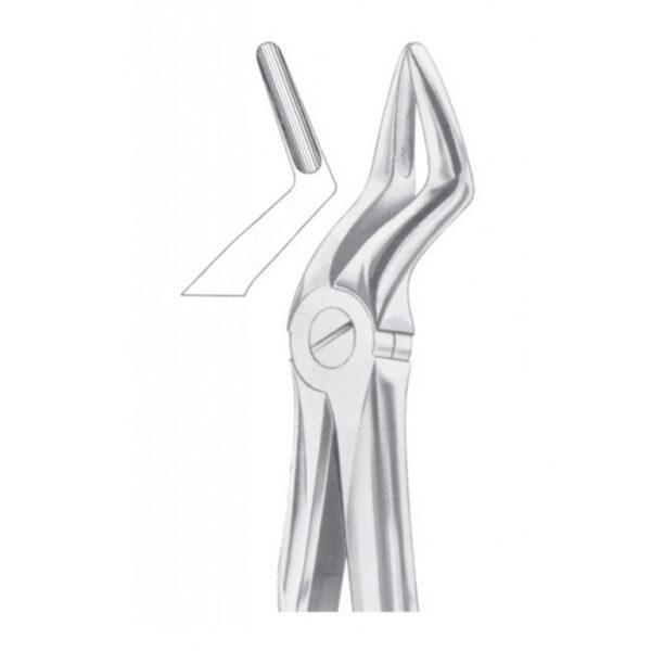Extracting Forceps "With Fitting Handle" 1181