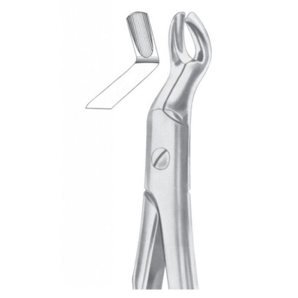 Extracting Forceps "With Fitting Handle" 1185