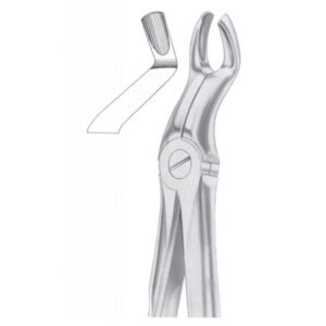 Extracting Forceps "With Fitting Handle" 1170