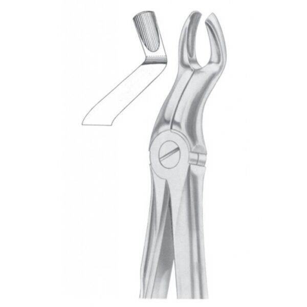 Extracting Forceps "With Fitting Handle" 1170