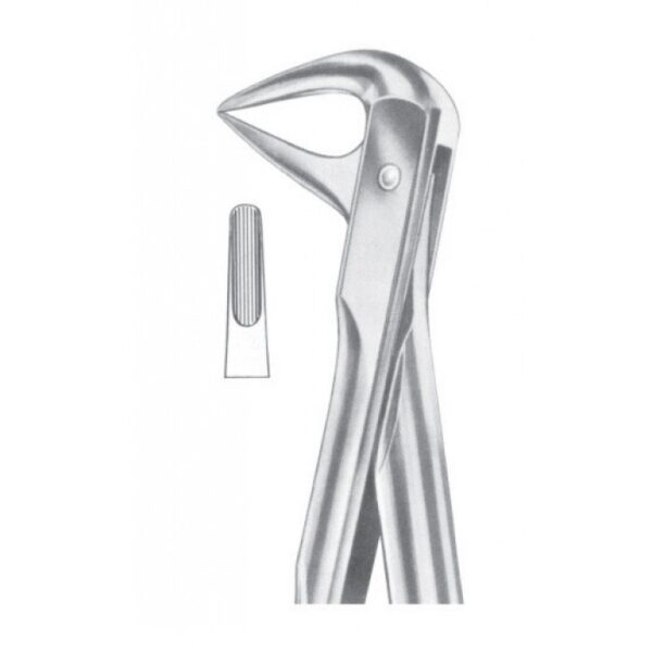 Extracting Forceps "With Fitting Handle" 1190
