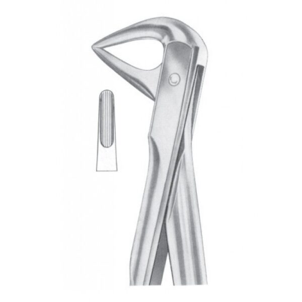 Extracting Forceps "With Fitting Handle" 1191
