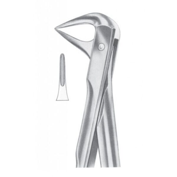 Extracting Forceps "With Fitting Handle" 1193