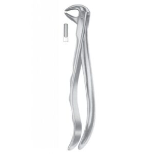 Extracting Forceps "With Fitting Handle" 1194