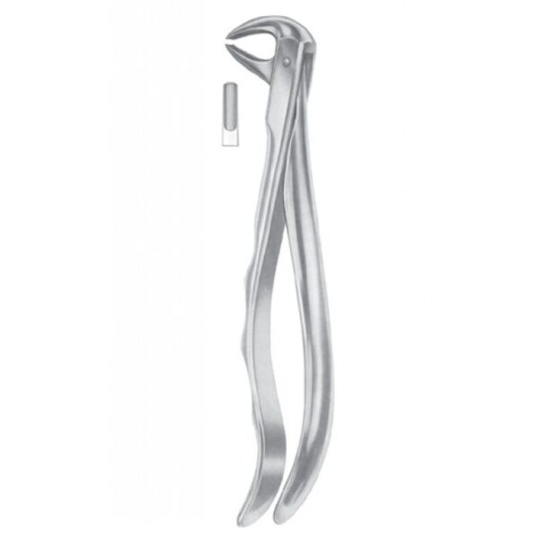 Extracting Forceps "With Fitting Handle" 1194